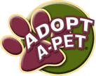 Adopt a pet at Petland Fayetteville